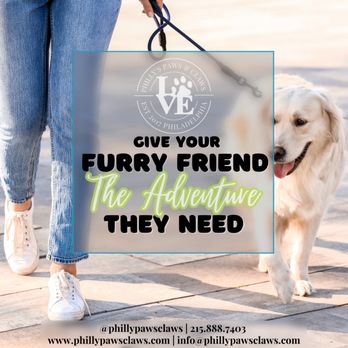 Philly's Paws & Claws - Pet Groomers Near Me Philly's Paws & Claws - Pet Groomers Near Me