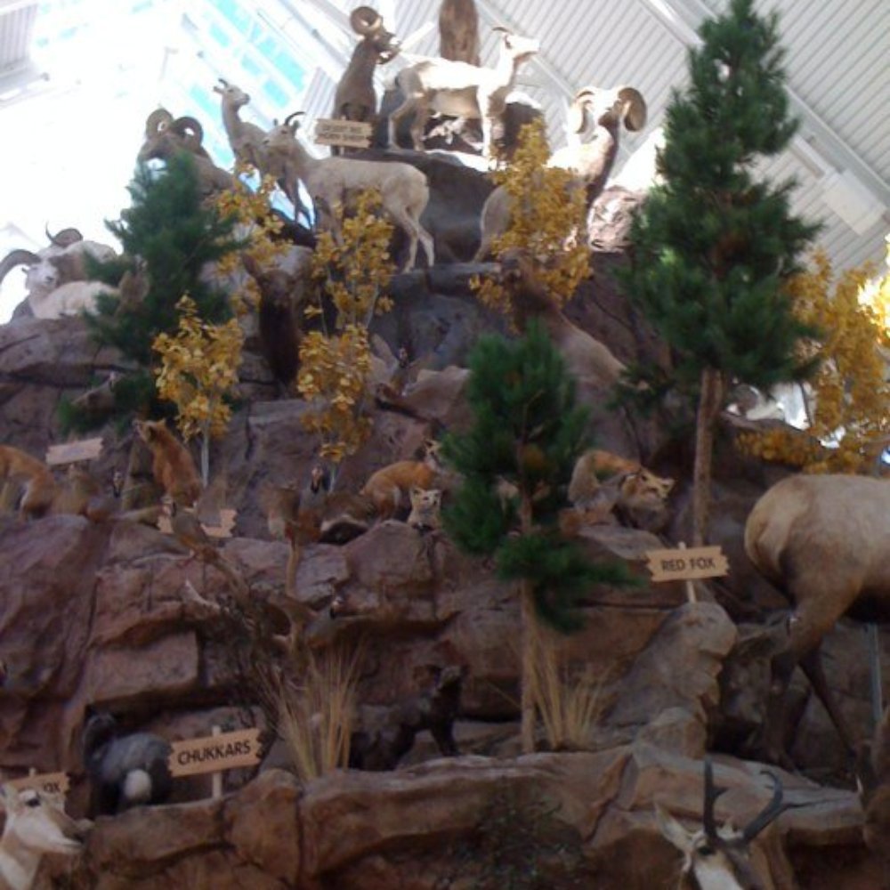 Scheels - Sports Wear Near Me - Sparks, Nevada Scheels - Sports Wear Near Me - Sparks, Nevada