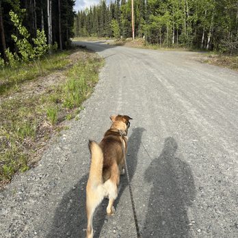 Bub's Pups - Pet Boarding Near Me - Sterling, Alaska Bub's Pups - Pet Boarding Near Me - Sterling, Alaska