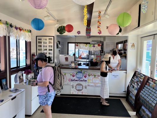 Santa Catalina Island by null