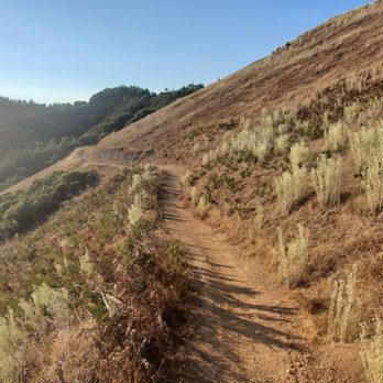 Big Rock Trailhead - Mountain Biking Near Me - Nicasio, California