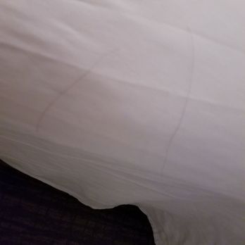 Cheeca Lodge & Spa - Hmmm... maybe the last person to sleep in this bed was stressed? She lost a lot of hair! - Resorts Near Me - Islamorada, Florida Cheeca Lodge & Spa - Hmmm... maybe the last person to sleep in this bed was stressed? She lost a lot of hair! - Resorts Near Me - Islamorada, Florida