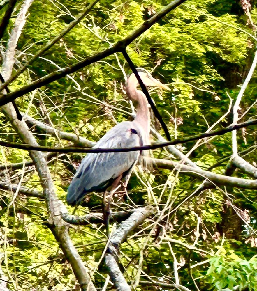 DUKE ISLAND PARK Updated August 2024 99 Photos & 17 Reviews 191