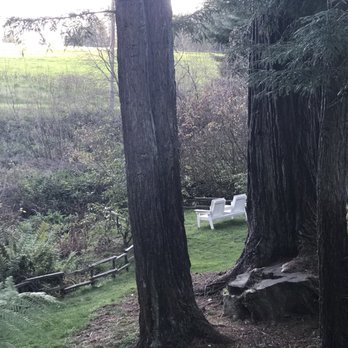 Beauregard Vineyards - Really relaxing and peaceful to spend an afternoon here - Wineries Near Me - Bonny Doon, California