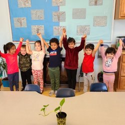 Toddler Learning Center - Ms.mitras class room