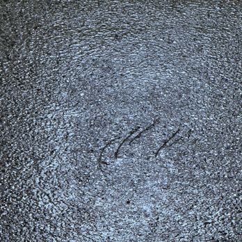 Next Level Concrete Coatings - Scratching - Flooring Near Me - Plainville, Massachusetts Next Level Concrete Coatings - Scratching - Flooring Near Me - Plainville, Massachusetts
