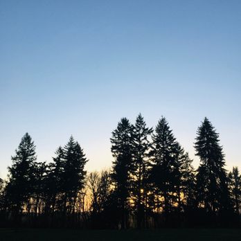 Saint Edward State Park - Trees - Parks Near Me - Kenmore, Washington