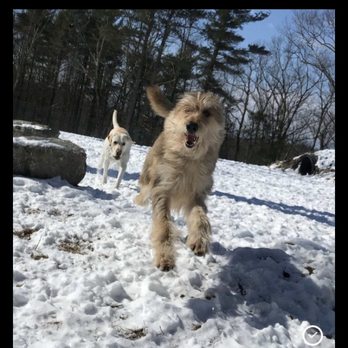 Far Fetched Acres - Pet Sitting Near Me Far Fetched Acres - Pet Sitting Near Me