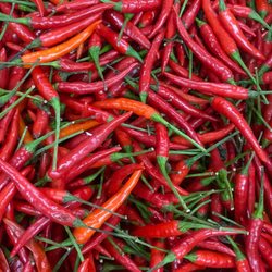 New Asian Grocery & Halal Meat