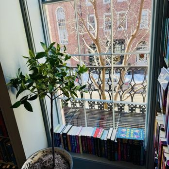 Beacon Hill Books & Cafe - Bookstores Near Me - Boston, Massachusetts