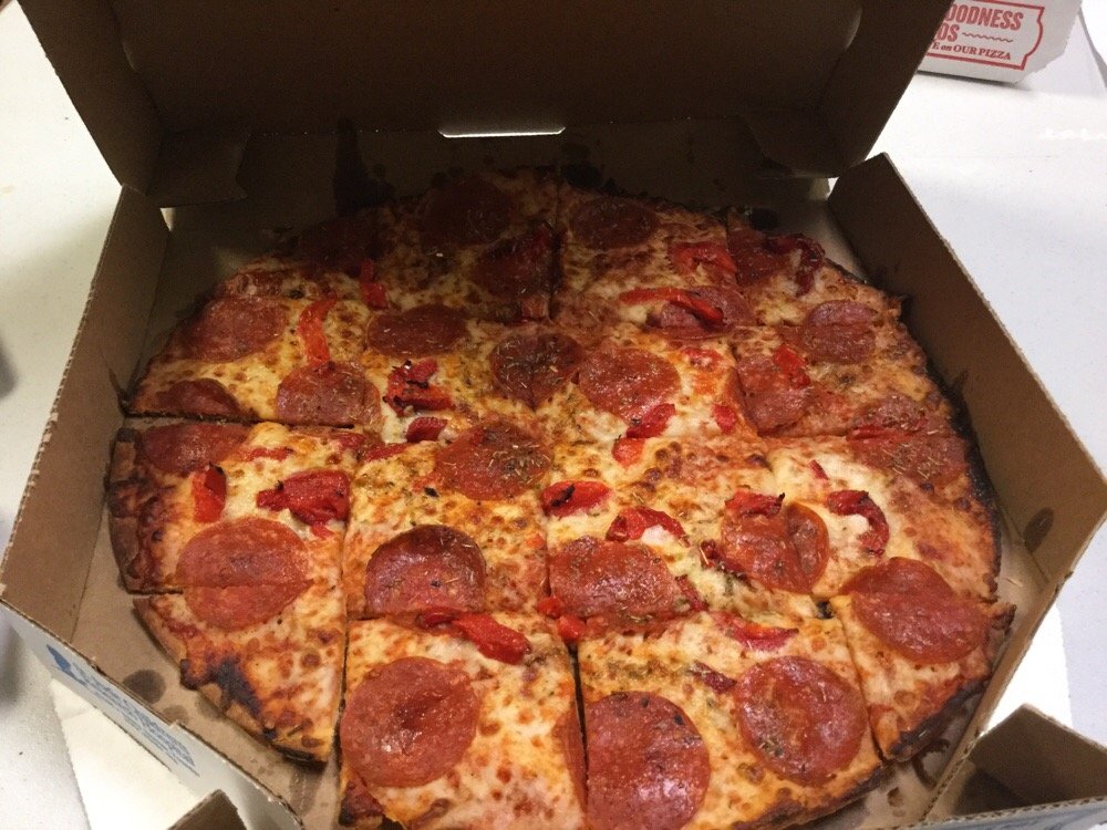 Domino's Pizza Logo
