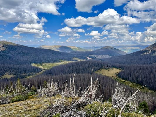 Wheeler Geological Area by null