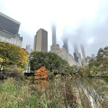 Central Park Conservancy - Parks Near Me - New York, New York Central Park Conservancy - Parks Near Me - New York, New York