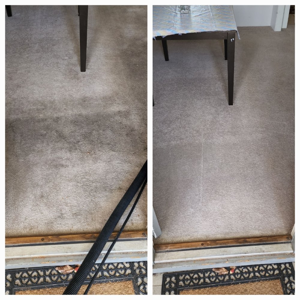 CARPET CLEANING KAPOLEI Updated July 2024 30 Photos & 13 Reviews