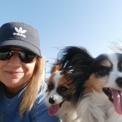 PV Positive Dog Training
