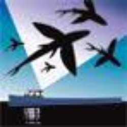 Flying Fish Voyage - Flying Fish