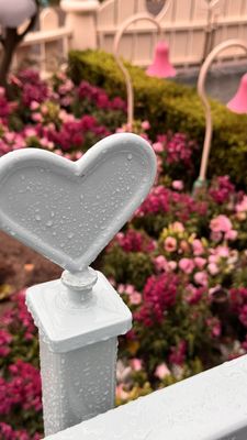 Mickey's Toontown by null