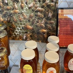 More honey!