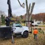 Photo of Green Woods Sawmill & Tree Service