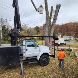 Green Woods Sawmill & Tree Service