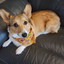 West Orange Veterinary Hospital