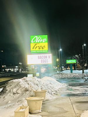 The Olive Tree by null