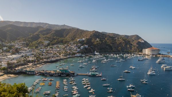 Santa Catalina Island by null
