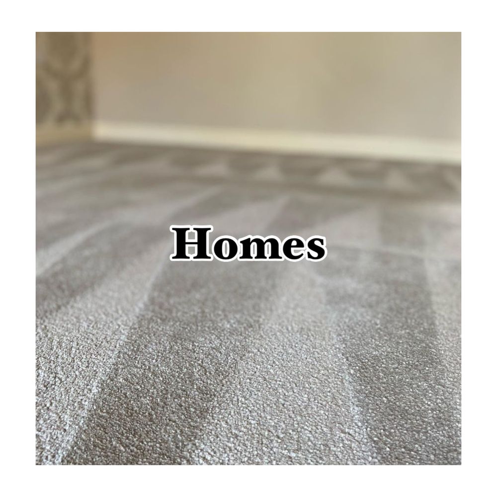 AUSTIN’S PERSONAL CARPET CLEANER 16 Photos Austin, Texas Home