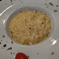 Restaurant Galuppi - Risotto with scampi