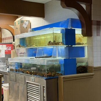 Red Maple Chinese Restaurant - Crab and lobster tanks - Dim Sum Near Me - Taylorsville, Utah Red Maple Chinese Restaurant - Crab and lobster tanks - Dim Sum Near Me - Taylorsville, Utah