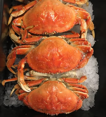 East Anchor Seafood by null