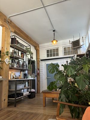 Plume Coffee Bar by null