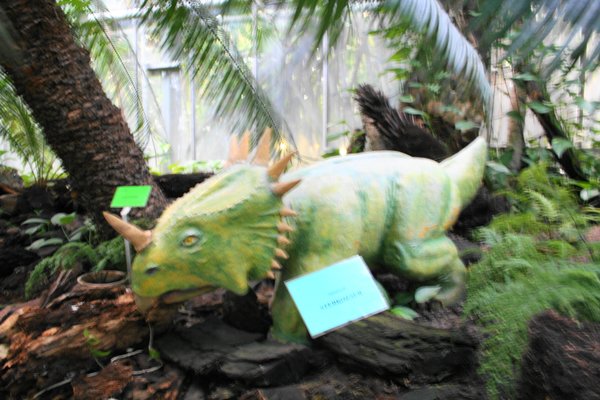 Palmiarnia Poznańska by null