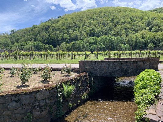 Domaine Weinbach by null