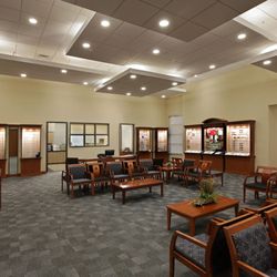 Collins Vision