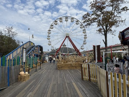 Playland Park by null