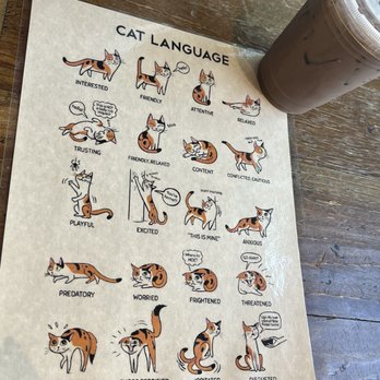 Seattle Meowtropolitan - Themed Cafes Near Me - Seattle, Washington