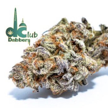 Washington Dabbers Club - Cannabis - Cannabis Dispensaries Near Me - Washington, DC, District of Columbia Washington Dabbers Club - Cannabis - Cannabis Dispensaries Near Me - Washington, DC, District of Columbia