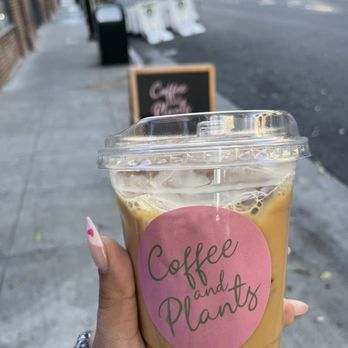 Coffee and Plants - Vanilla Latte - Coffee & Tea Near Me - Pasadena, California