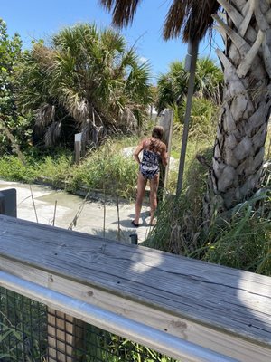 Gasparilla Island State Park by null