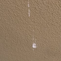 Lowe's Home Improvement