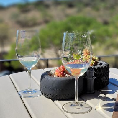 Chalone Vineyard by null