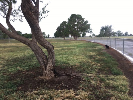 John Stiff Memorial Park by null