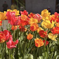 Riverfront Park - 5/3/26