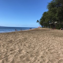 The beach! The beach!