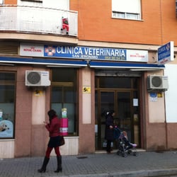 San Jerónimo