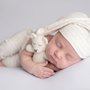 Littlest Wishes Photography