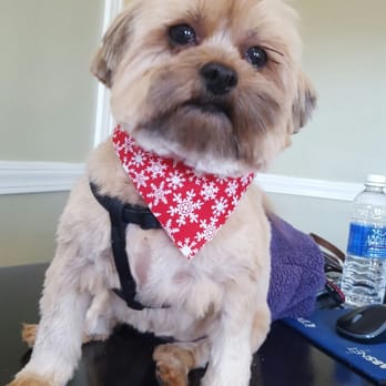 Five Star Dog Salon - Pet Groomers Near Me - Woburn, Massachusetts