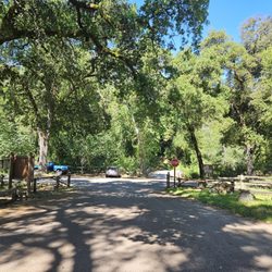 Zinfandel Trail