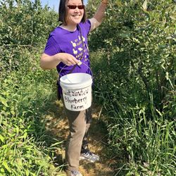 Mountainview Blueberry Farm - I like how I can stand up and pick. No need to bend down.